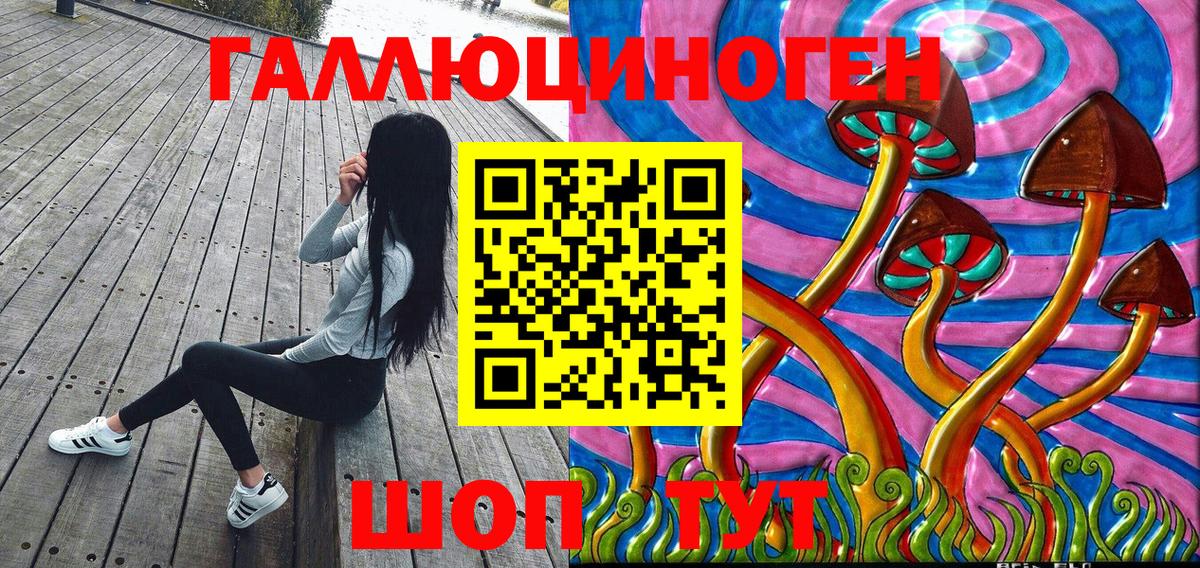 Галлюциногенные грибы Psilocybe Ирбит