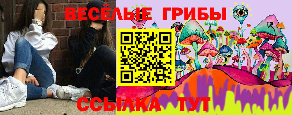 Галлюциногенные грибы прущие грибы  Вход с VPN  Ирбит 